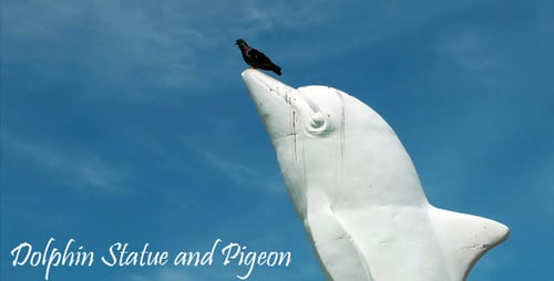 Statue de dauphin et pigeon