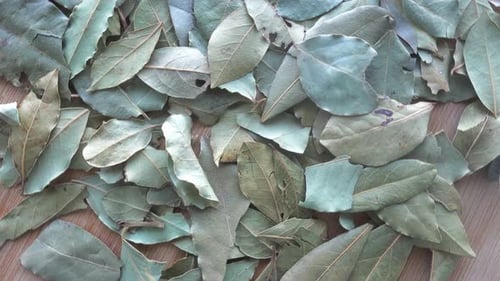 Dried Bay Leaves Close Up on Wooden Surface