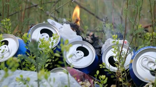 Environmental Pollution