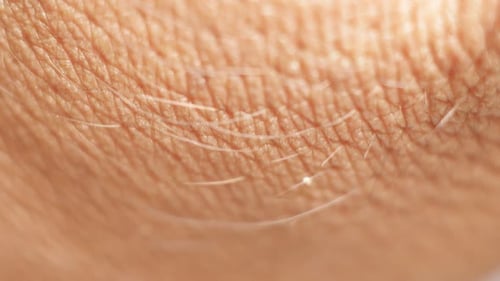 Close-up of Human Skin Texture and Hair