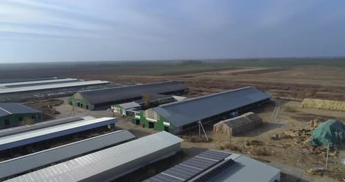 Drone survole une grande ferme avec des hangars et des entrepôts Vue de dessus des étables et des champs agricoles