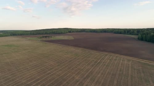 Aerial view of Agricultural field surrounded by forest 08