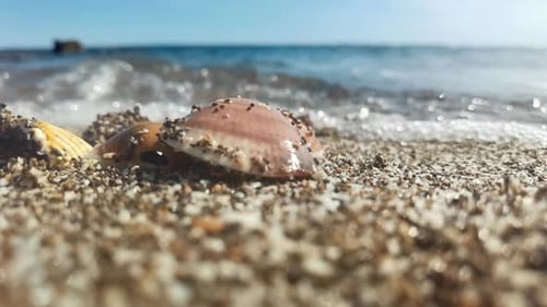 Slow Motion Footage of Sea Splashing on Shells and Pebbles