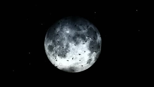 Animated Bats Flying Around a Full Moon in the Night Sky