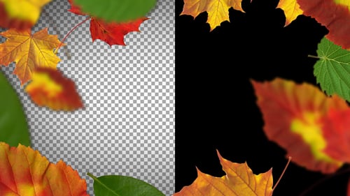 Animated Autumn Leaves Frame