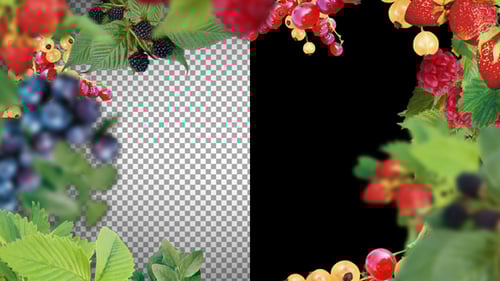 Natural Looping Berry Frame Overlay with Alpha Channel
