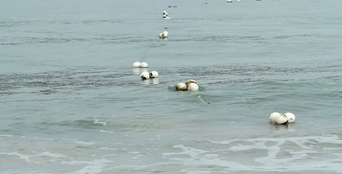 Buoy In The Sea