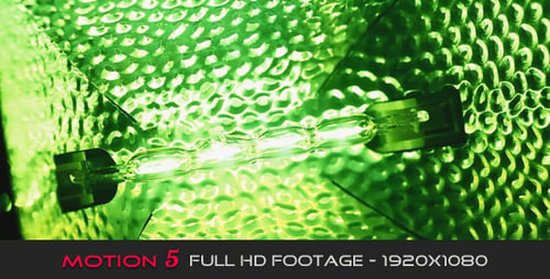 Flash Bulb
