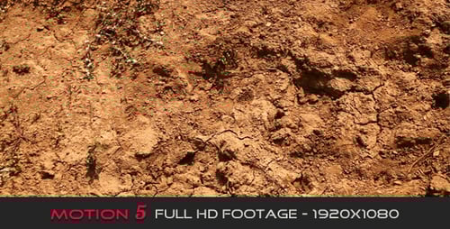 Dry Cracked Earth with Sparse Vegetation