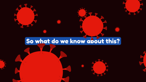 COVID-19 (How To Slow The Spread)