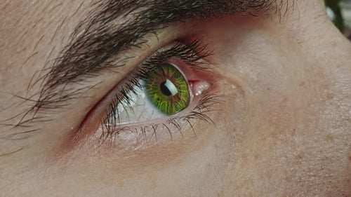 Macro Eye