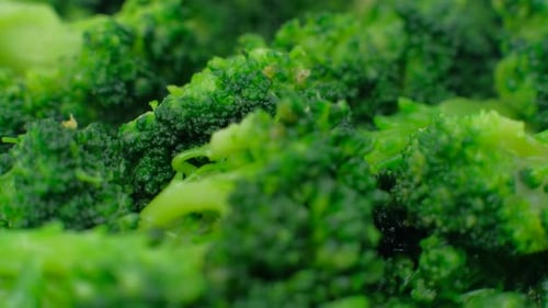 Fresh Green Broccoli on Plate on Blue Background