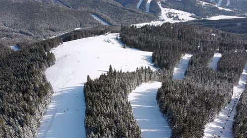 Aerial Ski Slopes with Skiers and Ski Lifts on Ski Resort. Snowy Mountain Forest