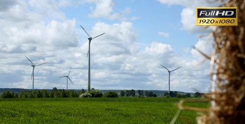 Wind Farm (3-Pack)