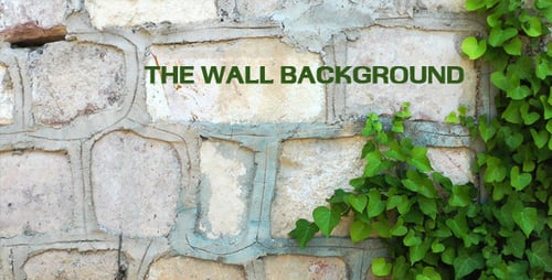 Stone Wall and Green Ivy Close Up