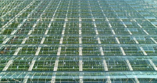 Greenhouses