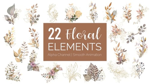 Animated Watercolor and Gold Floral Design Elements