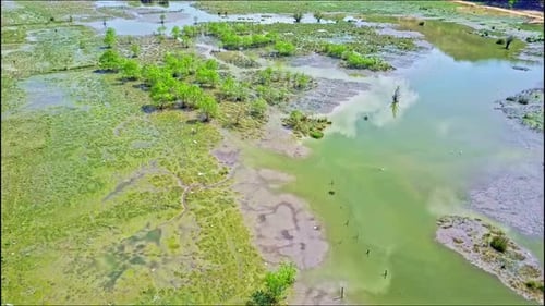 Drone Moves Over Big Swamp with Blue Water and Trees