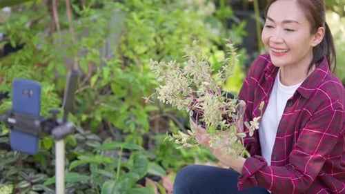 4K Asian woman plant shop owner live streaming on smartphone selling potted plants for online store