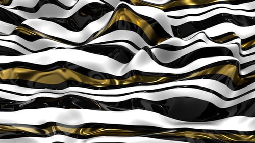 Zebra Golden Lines 76