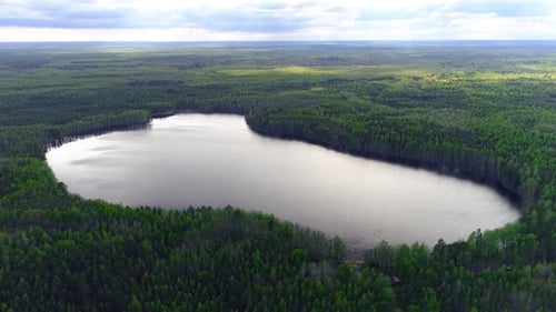 Flying above lake against the forests of spruce and pine trees. Drone collection