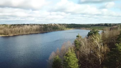 Nature Awakening In Spring 16
