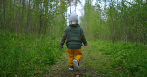 A 2-Year-old Caucasian Boy Walks in Slow Motion Along Forest Paths in a Pine Forest. Walks in the