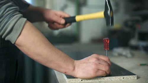 Adult Using Hammer and Screwdriver on Wood