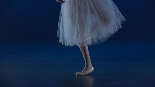 Graceful Ballerina Dancing Ballet in Studio
