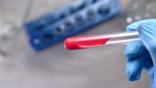 Gloved Hand Holds Test Tube with Red Liquid