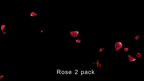 Seamless Loop of Red Rose Petals Falling