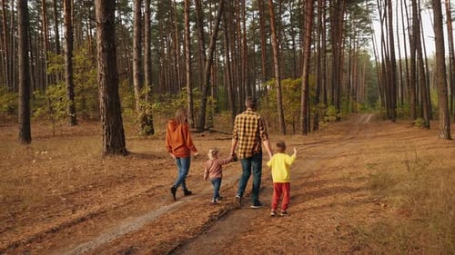 A Family of Four with a Dog are Walking in a Pine Forest