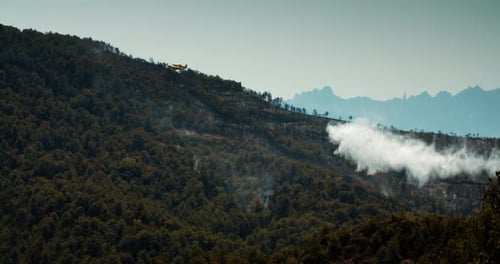 Airplane Drops Water on to the Mountain Forest on Wildfire at Summertime