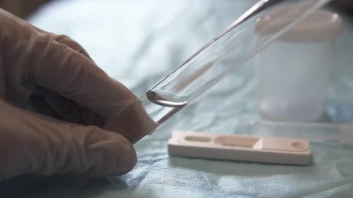 Hands Holding Test Tube in Medical Lab