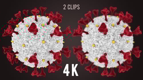 Detailed 3D Animated Virus Particle Rotation
