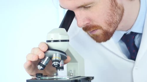 Scientist Carefully Examining Sample with Microscope