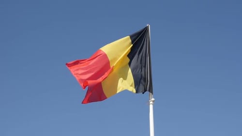 Flag Waving Against a Blue Sky