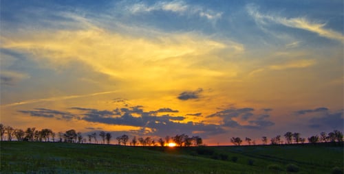Scenic Sunset Over Rolling Green Field Landscape