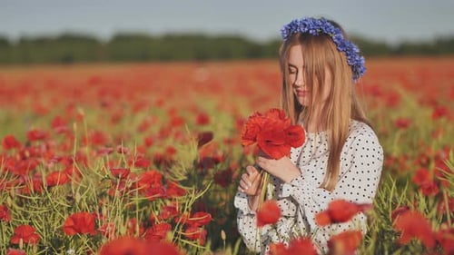 Ukrainian Girl Collecting and Smelling a Bouquet of Poppies in a Field of Poppies