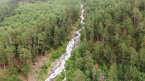 Long River Winds Among Coniferous Forest Across Valley