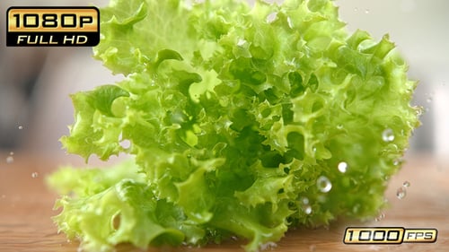 Fresh Green Lettuce Falls onto Wooden Table