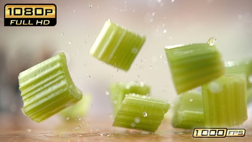 Fresh Celery Pieces Falling on Wet Surface
