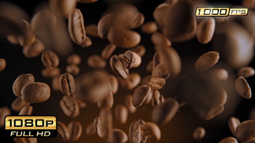 Roasted coffee beans falling in slow motion studio shot