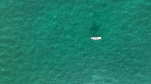 Sup surfing aerial view 4 K Turkey Alanya