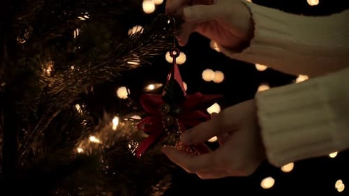 Weihnachts-Dekoration