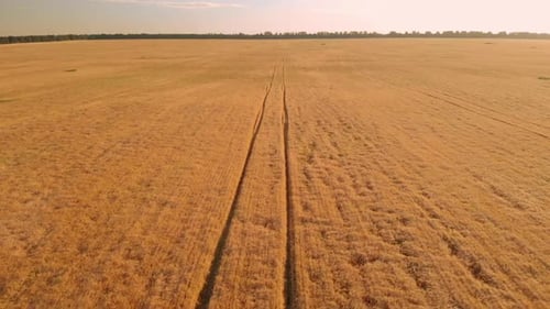 Top View Harvesting at the Countryside