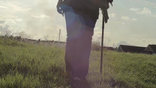 Adult Walking with Stick in a Rural Field