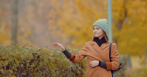 Portrait of a Young Girl in Autumn Park