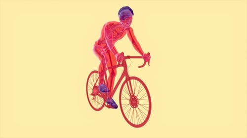 4K anatomy of a X-ray cyclist riding