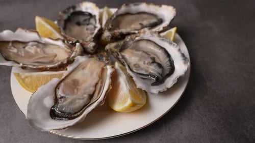 Fresh Oysters 26